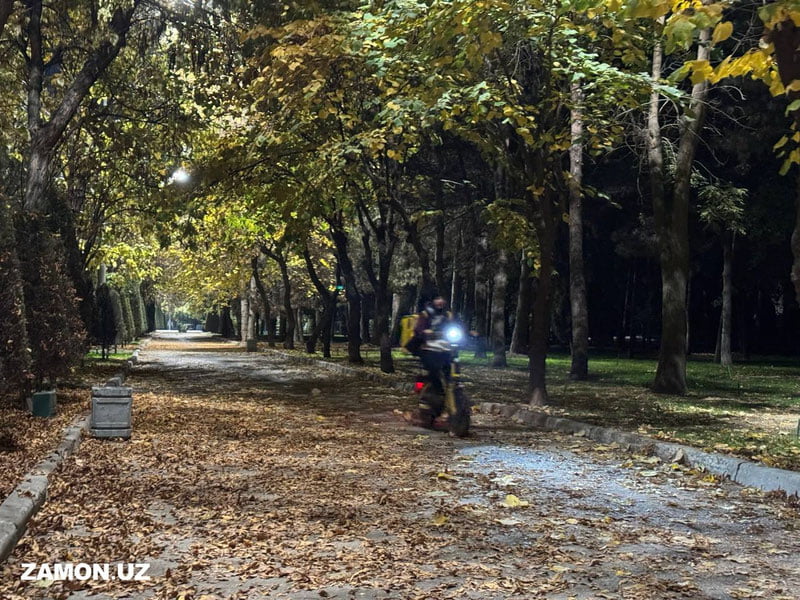 Bugun O‘zbekistonning ayrim hududlarida qor yog‘ishi kutilmoqda