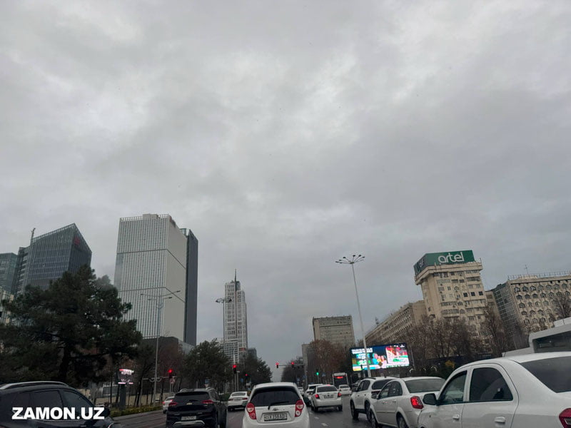 Бугун Ўзбекистоннинг айрим ҳудудларида ёмғир ва қор ёғиши кутилмоқда