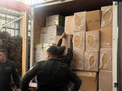 Toshkentda 9 mlrd so’mlik 421 500 quti tamaki yo’q qilindi