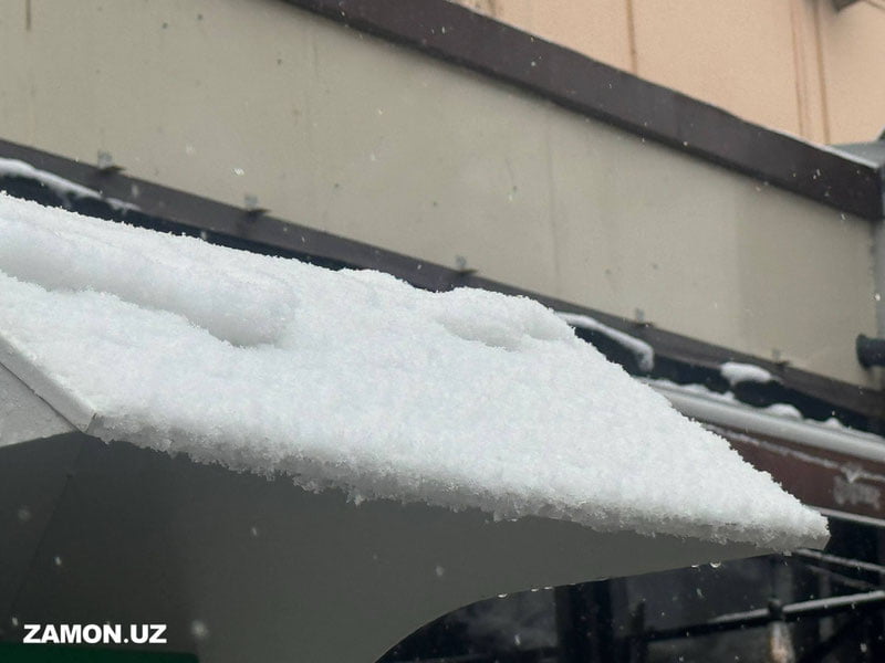 Тошкентда жорий йил қиш мавсуми учун илк қор ёғди