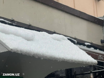 Тошкентда жорий йил қиш мавсуми учун илк қор ёғди