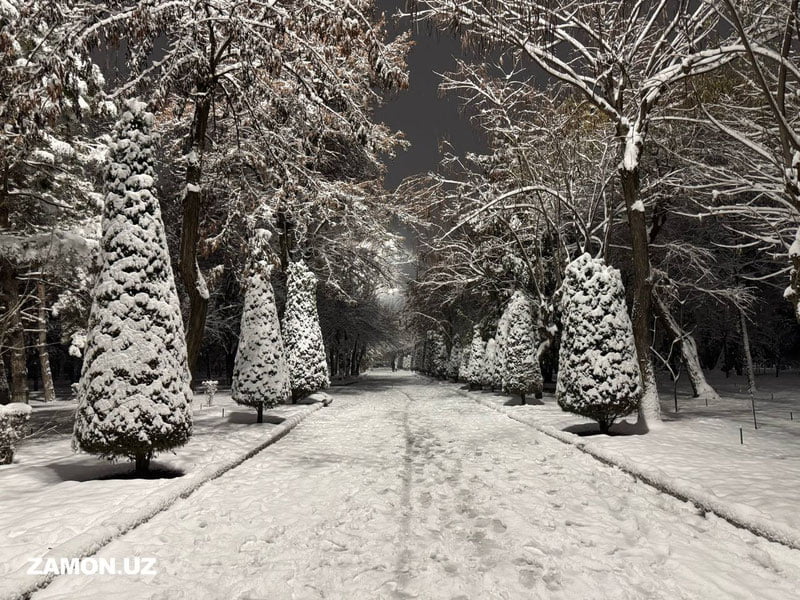 Bugun Respublikada o‘zgaruvchan ob-havo kuzatiladi