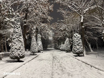 Bugun Respublikada o‘zgaruvchan ob-havo kuzatiladi