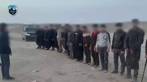 Навоийда 15,5 млрд сўмлик олтинни ноқонуний олтин қазиб олган жиноий гуруҳ қўлга олинди